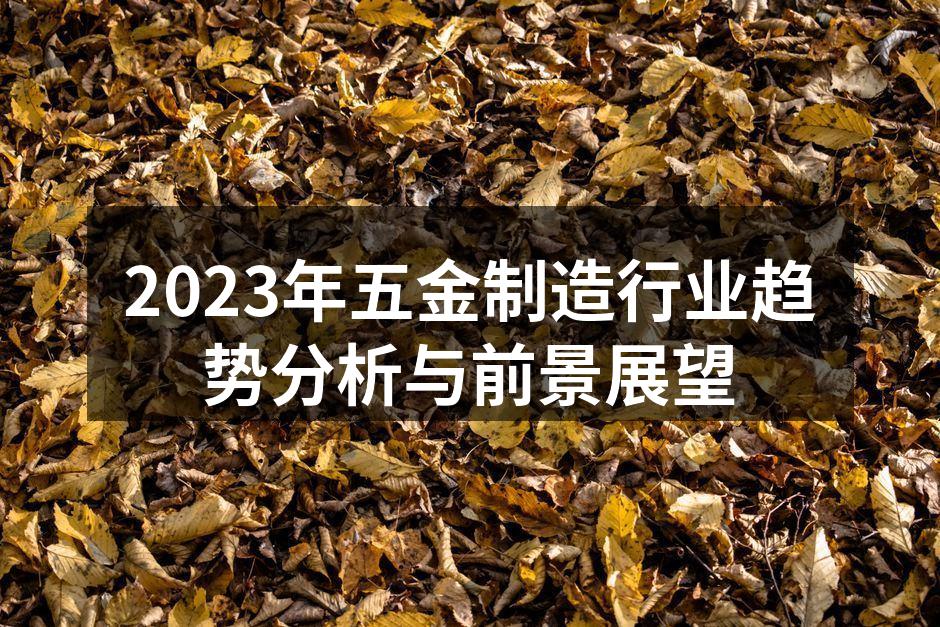 2023年五金制造行业趋势分析与前景展望